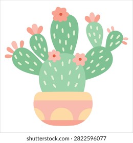 Vibrant Adorable Pink Blooming Cactus Houseplant in Pot