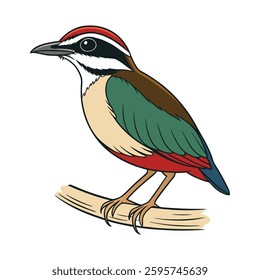 Vibrant African Pitta Artwork. Concept of Bird Design.