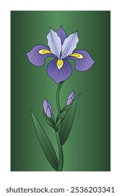 Vibrant Algerian Iris Flower Print, Colorful Floral Art with Green Leaves, Trendy Floral Posters, Hand drawn Botanical Illustration for Decor