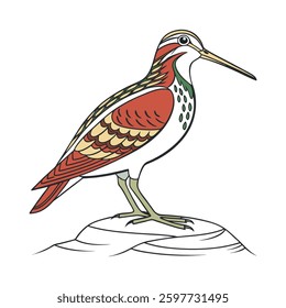 Vibrant Andean Snipe Artwork. Concept of Bird Design.