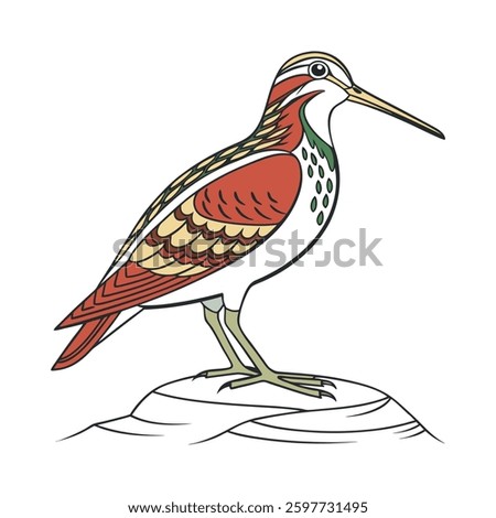 Vibrant Andean Snipe Artwork. Concept of Bird Design.