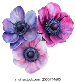 vibrant anemone flowers in shades of blue, purple, and pink. Perfect for adding a touch of elegance and color to any design project.