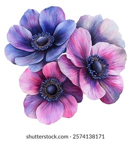 vibrant anemone flowers in shades of blue, purple, and pink. Perfect for adding a touch of elegance and color to any design project.