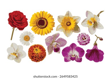 Vibrante variedade de flores coloridas: Florando coleção floral para projetos de design