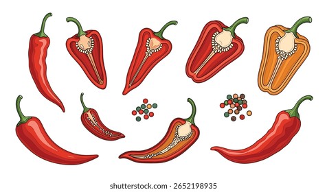 Variedade vibrante de pimentos doces e picantes frescos e pimentões e pimentões para delícias culinárias