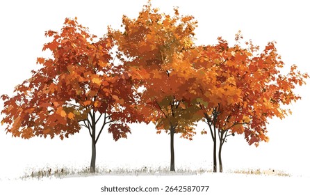 Vibrant autumn colors maple leaves, seasonal cut out trees, transparent background, fall leaves, maple tree, autumn season, colorful leaves, vibrant foliage, nature