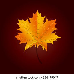 Vibrant autumn leaf/Autumn leaf/Season