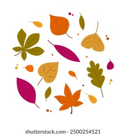 Vibrant Autumn Leaves Illustration - Colorful Fall Foliage on White Background.