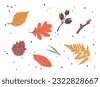 autumn leaves vector