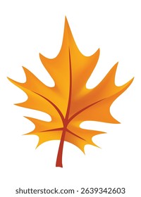 A Vibrant Autumn Maple Leaf Displaying a Bright, Striking Orange Color in Natures Beauty
