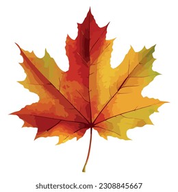 Vibrant autumn maple tree leaf over white