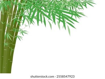 Vibrant bamboo stalks and fresh green leaves on a white background, perfect for nature-themed projects, posters, or eco-friendly designs.