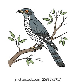 Vibrant Bar Bellied Cuckooshrike Artwork. Concept of Bird Design.