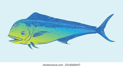 Vibrant beauty coloured of dorado fish or mahi-mahi illustration. Fit for nautical design, marine life clothing, prints and tropical fish design.