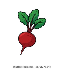 Vibrant Beetroot Illustration A Fresh and Healthy Vegetable Design Element