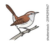 Vibrant Bewicks Wren Bird Detailed Illustration. Concept of Bird Design.