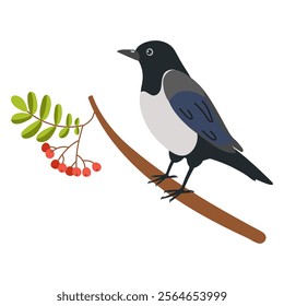 Vibrant bird perched on branch with berries against a simple background