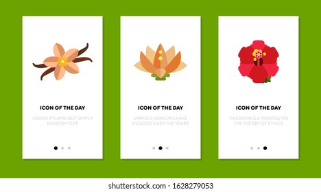 Vibrant blossoms flat vector icon set. Flower, flora, petal, colorful isolated sign pack. Gardening and plants concept. Vector illustration symbol elements for web design and apps.