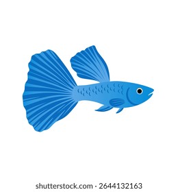 A vibrant blue guppy vector illustration with large flowing fins. Ideal for aquarium-themed projects, aquatic decor, and playful underwater design elements.