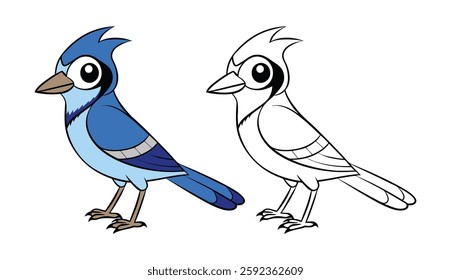 Vibrant Blue Jay Coloring Art Design