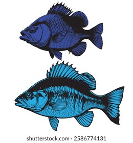 Vibrant blue  Perch illustration . "this image is ai generated "