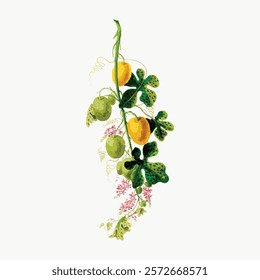 Vibrant botanical illustration of a vine with yellow and green fruits. Botanical art with lush leaves and fruits. Delicate vine and fruits in nature art. Vintage plant vector element.