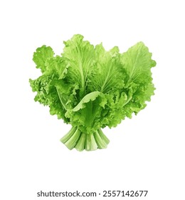 A vibrant bunch of green lettuce showcasing its fresh, leafy texture.