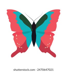 A vibrant butterfly with intricate patterns and bright colors perched gracefully on a plain white background.