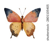Vibrant butterfly with orange and blue wings