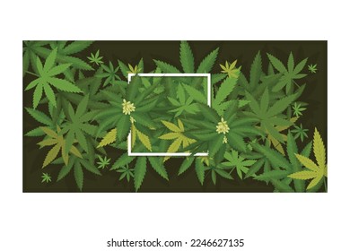 A vibrant cannabis leafs background vector illustration perfect for any cannabis-related project. High-quality and royalty-free, perfect for web and print.
