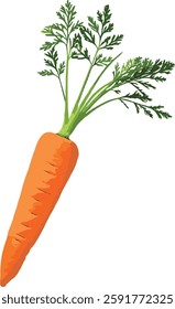 A vibrant carrot illustration featuring rich orange hues and lush green leaves, perfect for farm logos, healthy food designs, organic branding, recipe books, and artistic decor.