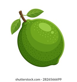 A vibrant cartoon illustration of a single whole green lime fruit with two fresh green leaves attached to the stem isolated on white