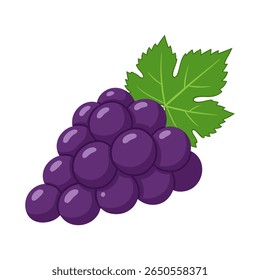 A vibrant, cartoon-style illustration of a bunch of ripe purple grapes with a single green leaf, isolated on a clean white background.
