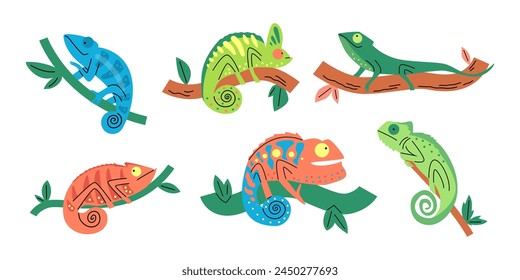 Camaleones vibrantes en ramas, un conjunto de Vectores que exhibe diversos colores y patrones, ideal para uso educativo o decorativo
