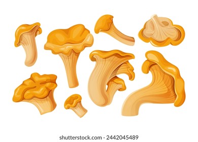 Vibrant Chanterelles Illustration. Set of cartoon mushrooms of various shapes and sizes isolated.