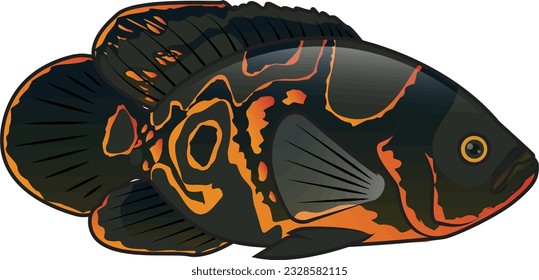 Vibrant Cichlid Oscar Fish - Vector Illustration Image for Aquarium Enthusiasts