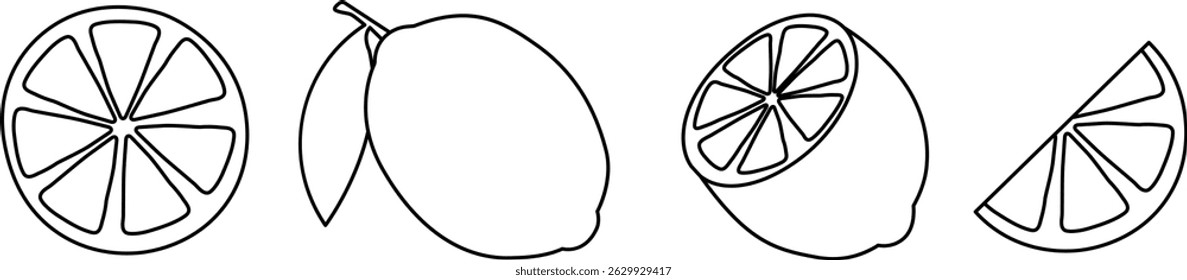 Vibrant Citrus Fruit Collection Vector Illustration