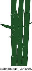Vibrant close-up of three lush green bamboo stalks with a new shoot emerging. Isolated on a clean white background, ideal for designs emphasizing nature, serenity, and growth.