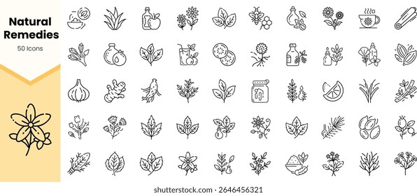 A vibrant collection of 50 hand-drawn natural remedy icons showcasing various herbs, plants, and ingredients, perfect for wellness and holistic health projects.