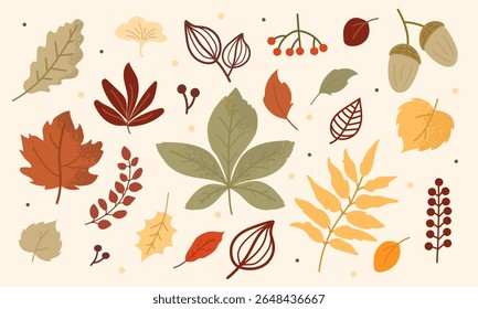 Une collection vibrante de feuilles automnales de couleurs et de formes variées disposées artistiquement. L'exposition met en évidence la beauté du feuillage automnal et les détails complexes de la nature.