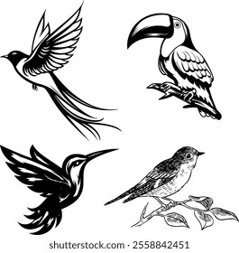 A vibrant collection of bird illustrations featuring a toucan, hummingbird, magpie, and sparrow. Designed in diverse styles including colorful vector art, sketch, and minimalist design, 