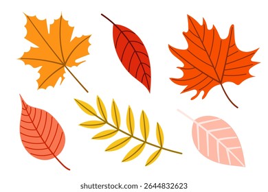 A Vibrant Collection of Colorful Autumn Leaves Perfect for Various Creative Projects