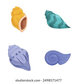Vibrant collection of illustrated seashells in various shapes and colors