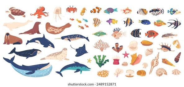 Vibrant Collection Of Illustrations Featuring Various Sea Creatures, Coral, Marine Flora. Whales, Dolphins, Fish, Seals