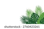 A vibrant collection of lush green tropical leaves, including monstera and palm fronds, artfully arranged in a corner, evoking a sense of nature