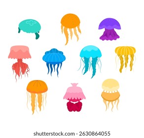A vibrant collection of sea jellyfish clipart featuring various jellyfish species with flowing tentacles for ocean themed projects, educational materials, marine biology visuals, and children