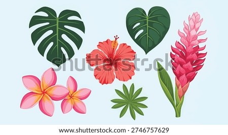 A vibrant collection of tropical flowers and monstera leaves, perfect for summer designs.