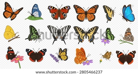 A vibrant collection of various butterfly species in different colors and patterns, some resting on leaves or flowers.