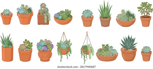 A vibrant collection of various potted succulents and cacti, showcasing different shapes, colors, and sizes in terracotta pots and hanging planters.