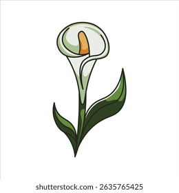 Una ilustración plana de color vibrante de un lirio calla, destacando su espátula blanca y espátula amarilla con hojas verdes, ideal para proyectos elegantes y florales.